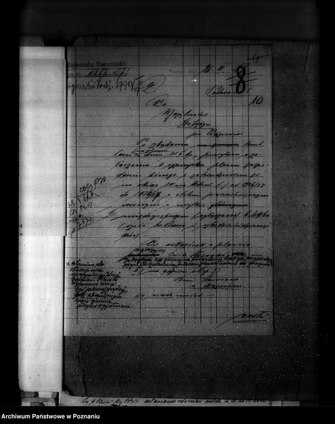 Obraz 14 z jednostki "Majętność leśna Stołężyn powiat wągrowiecki"