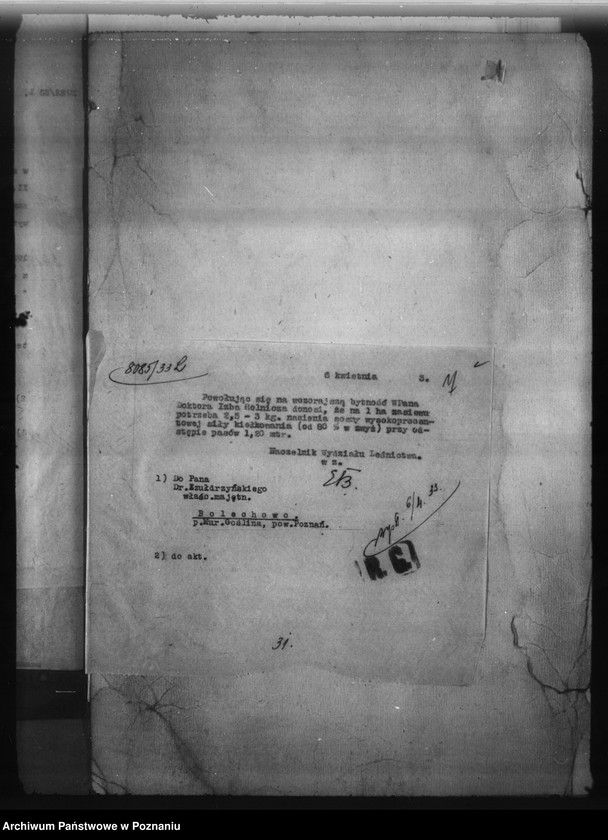 Obraz 11 z jednostki "Bolechowo powiat poznański /nadzór nad gospodarką leśną/"