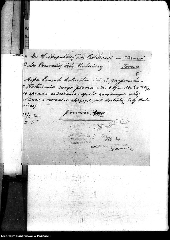 Obraz 11 z jednostki "Sprawy szczegółowo-administracyjne Bydło"