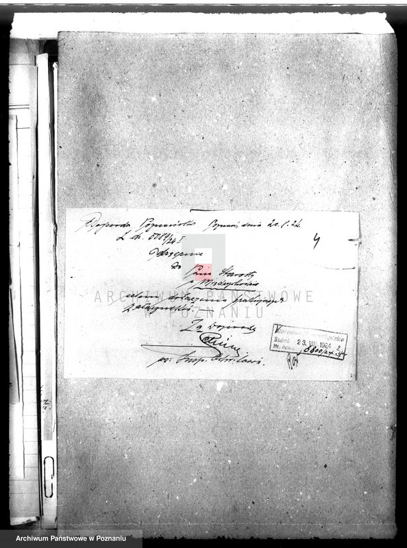 Obraz 8 z jednostki "Nadzór nad gospodarką w lasach majątku Bukowce powiat międzychodzki"