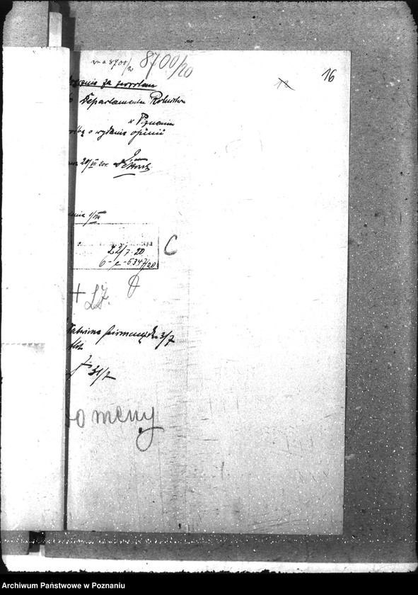 Obraz 20 z jednostki "Domeny"