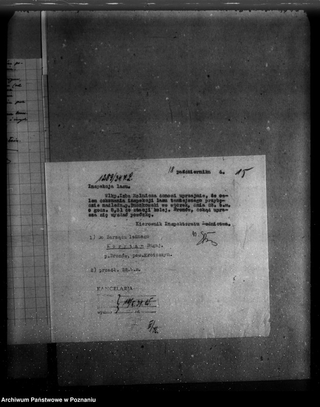 Obraz 19 z jednostki "/Majętność leśna Bugaj / powiat krotoszyński"