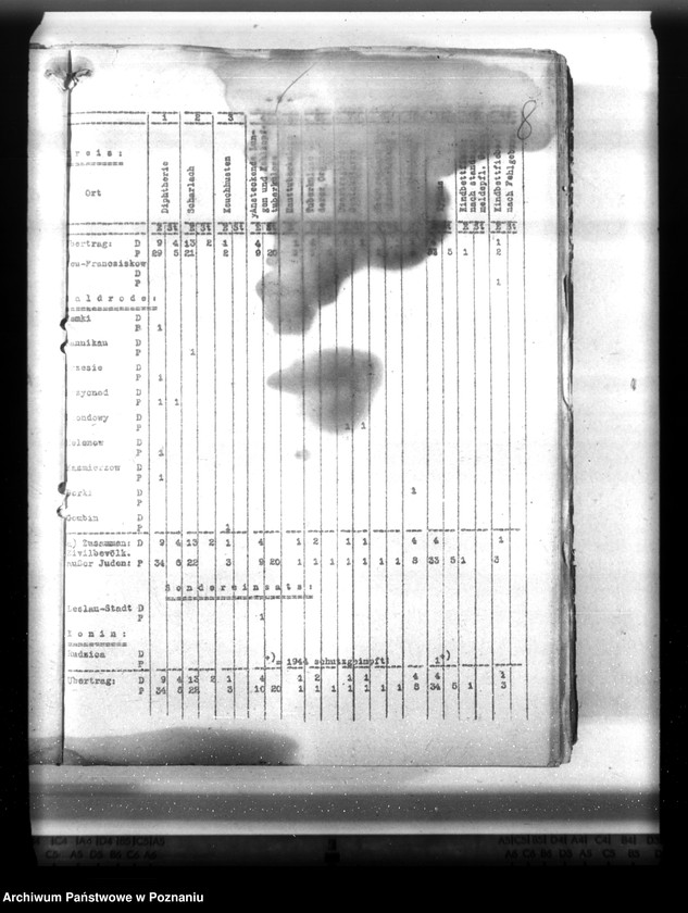 Obraz 13 z jednostki "Statistik der Krankheiten im Wartheland"