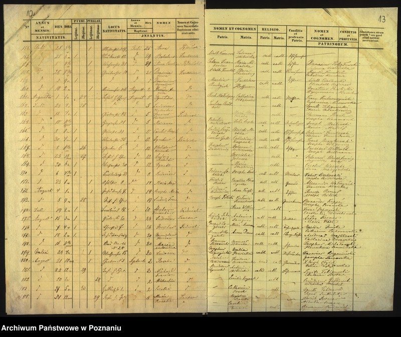 Obraz 9 z jednostki "Księga urodzin"