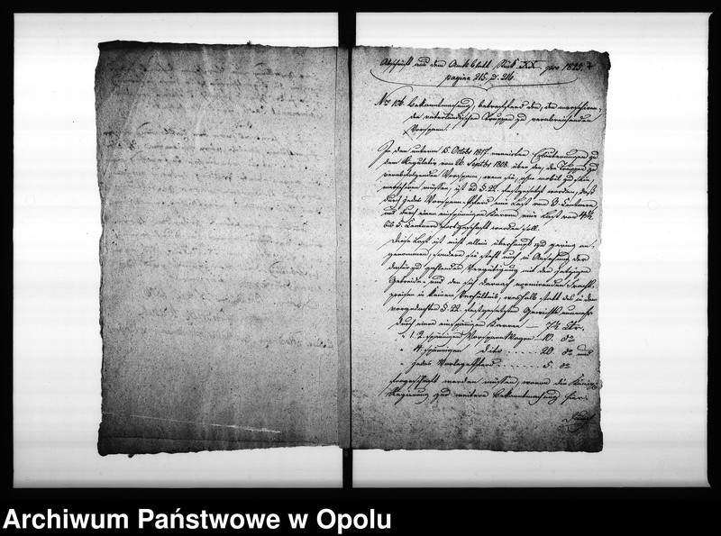 Obraz 9 z jednostki "Acta Generalia vom Vorspann-Wesen Vol. I de anno 1810"
