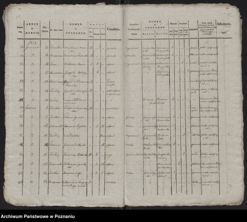 Obraz 8 z jednostki "Spis zgonów"