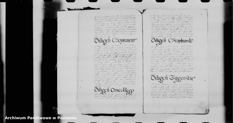 Obraz 6 z jednostki "Relationes [inducta]"