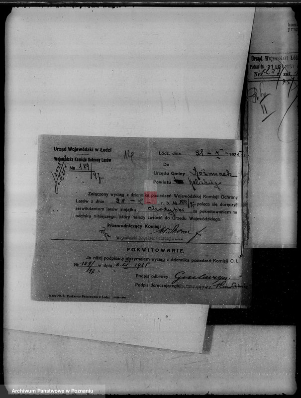 Obraz 20 z jednostki "Gmina Koźminek powiat kaliski /sprawy leśne/"