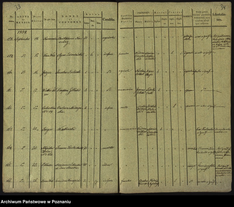 Obraz 20 z jednostki "Księga zgonów"