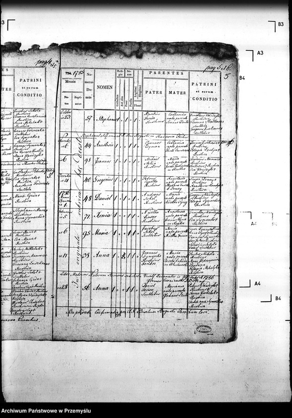 Obraz 9 z jednostki "[Kopie ksiąg metrykalnych parafii Hańczowa z filią Ropki (dekanat Gorlice)]"
