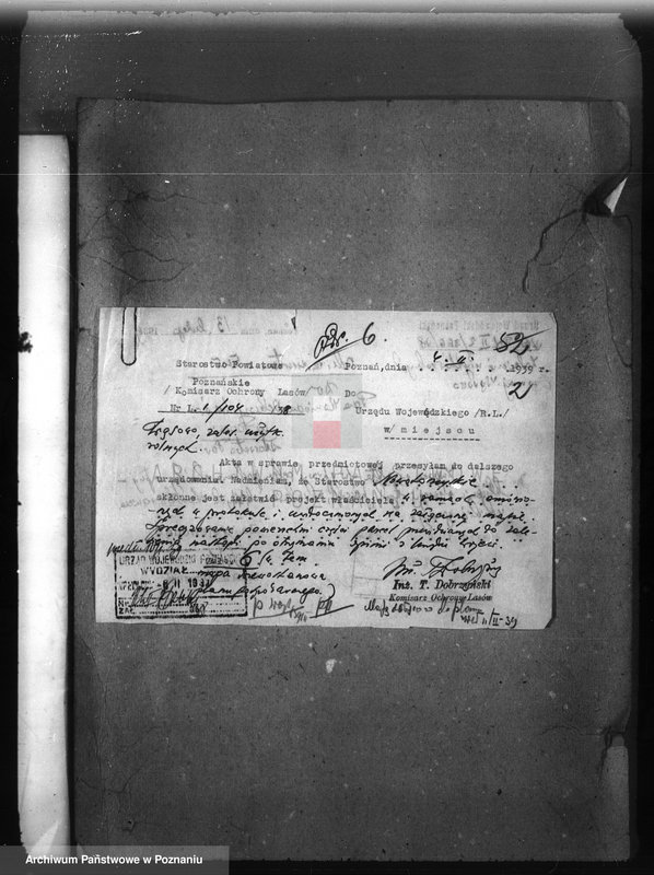 Obraz 6 z jednostki "/Majętność leśna Wąsowo w powiecie nowotomyskim/"