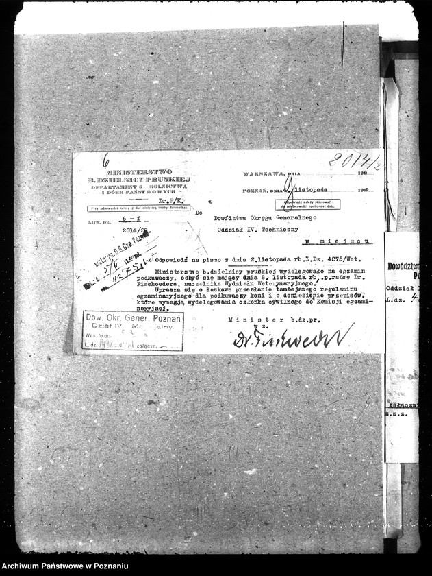 Obraz 11 z jednostki "Podkuwacze koni"