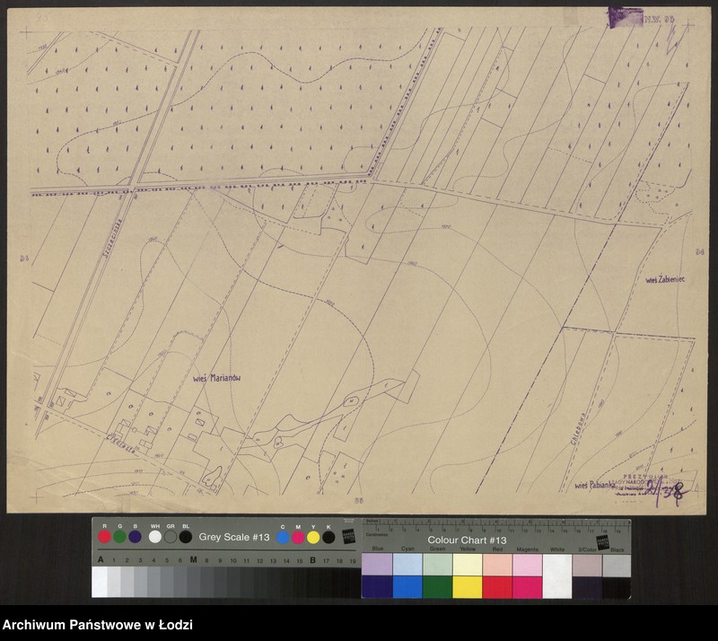 Obraz 1 z jednostki "Plan m. Łodzi 1:2000, odbitka. Sekcja NW95"