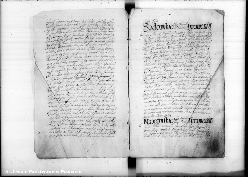 Obraz 7 z jednostki "Inscriptiones [inducta]"