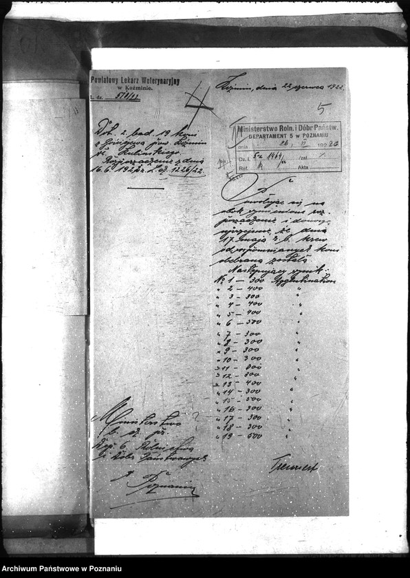 Obraz 9 z jednostki "Nosacizna - Koźmin"