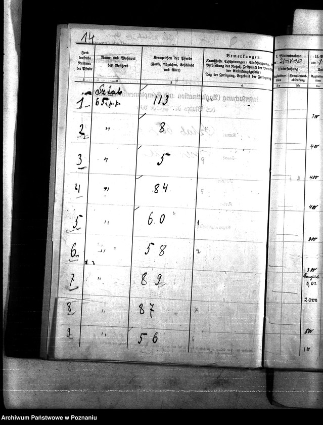 Obraz 18 z jednostki "Nosacizna - Tuchola"