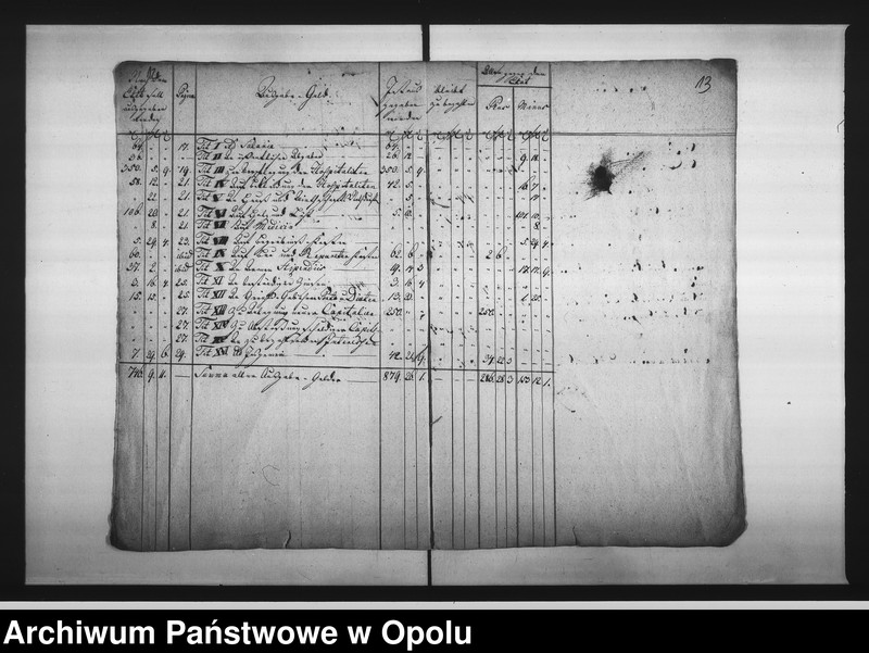 Obraz 11 z jednostki "Acta Specialia des Magistrats zu Oppeln wegen Abnahme der Rechnungen und Casse des Hospitals St: Alexi"