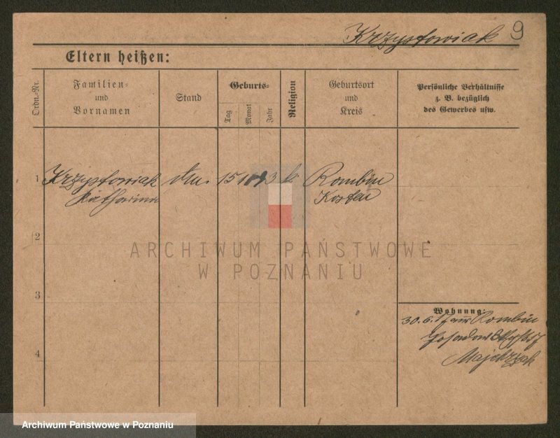 Obraz 9 z jednostki "Krzyszczyński - Krzyżaniak"