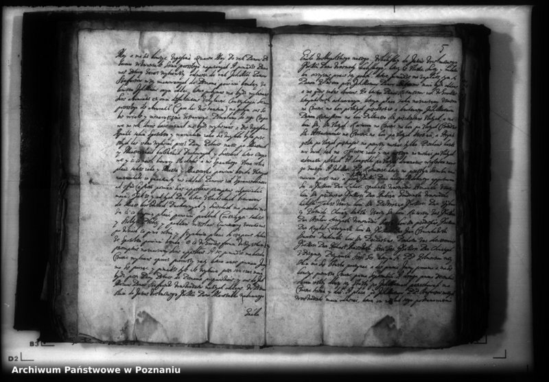 Obraz 8 z jednostki "Lauda [acticantia]"