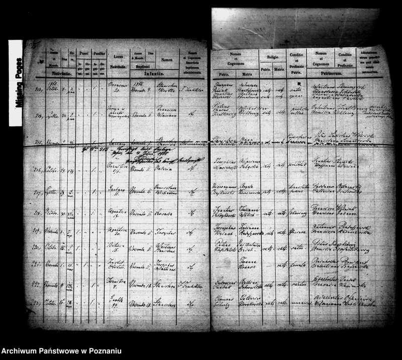 Obraz 19 z jednostki "Księga urodzin"