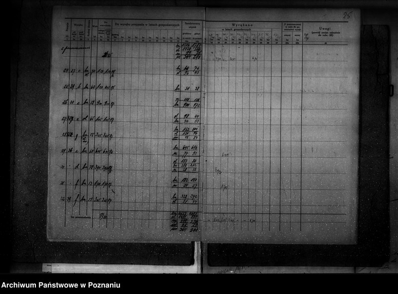 Obraz 20 z jednostki "Ogólny opis lasu majętności Września (plan cięć i plan urządzenia gospodarstwa leśnego)"