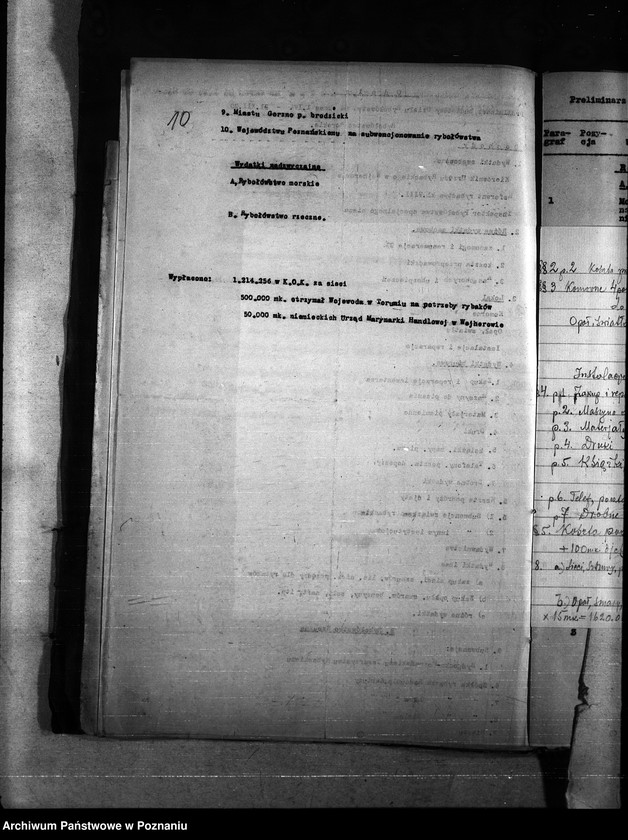 Obraz 17 z jednostki "Budżet - rybołówstwo rok 1921"