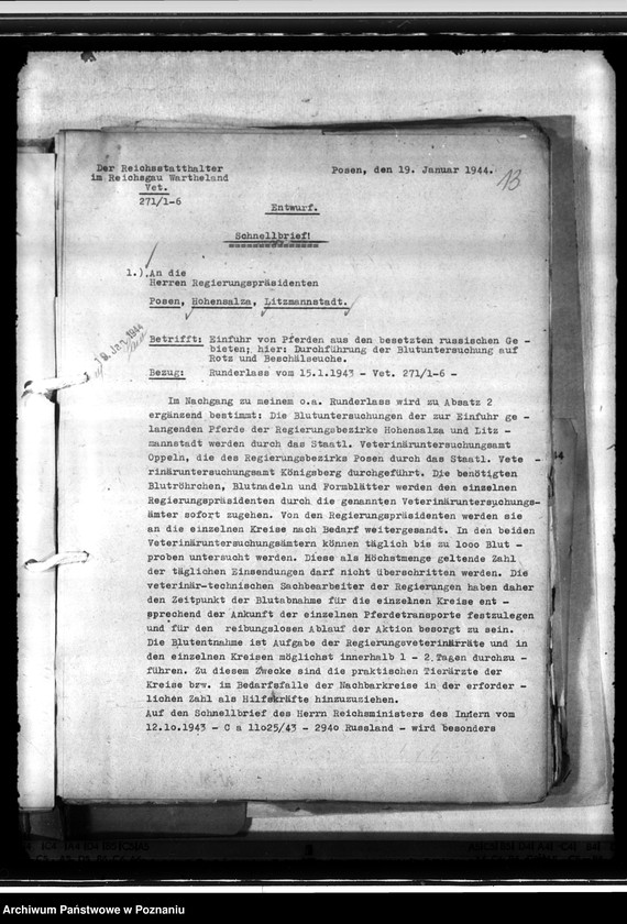 Obraz 17 z jednostki "Einfuhr von Tieren aus den besetzten Ostgebieten - auch der Schwarzmeerdeutschen"