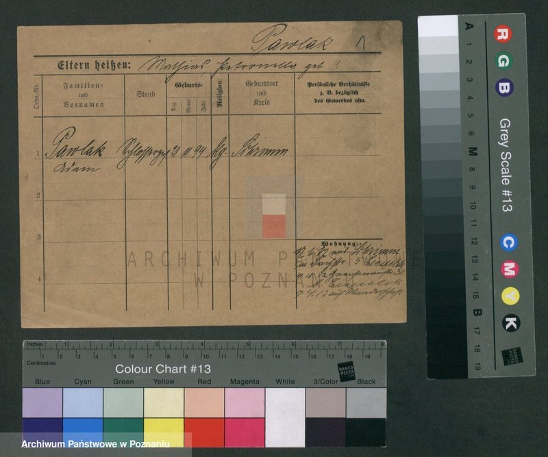 Obraz 3 z jednostki "Pawlak (samotni mężczyźni i kobiety)"