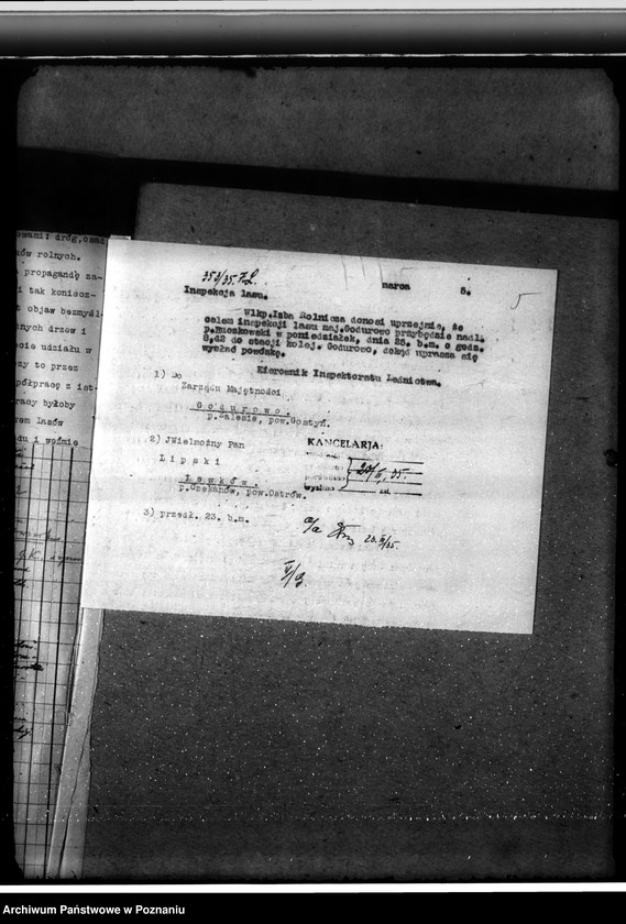 Obraz 9 z jednostki "Leśnictwo w Godurowie powiat gostyński"