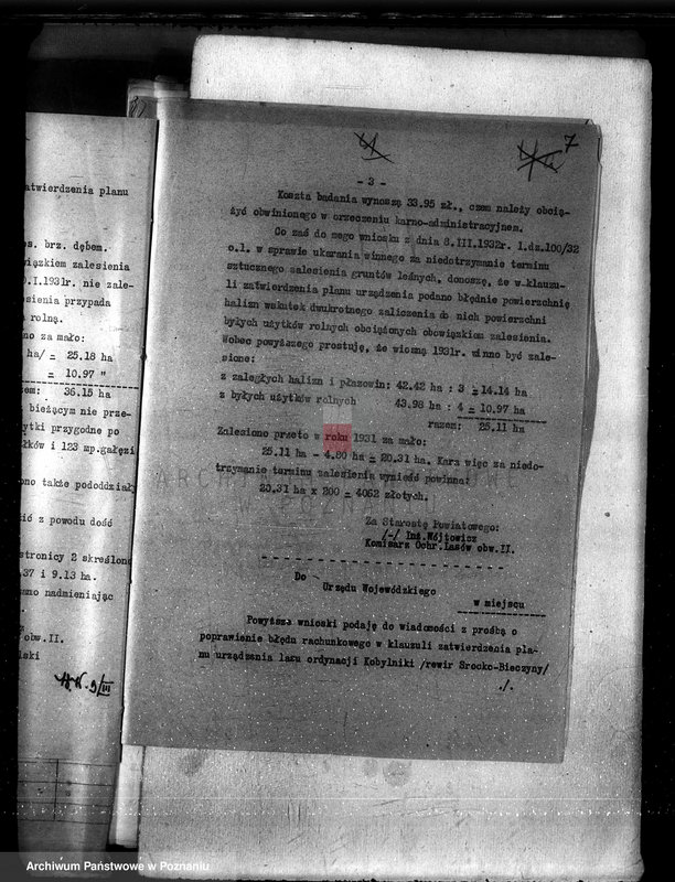 Obraz 11 z jednostki "Las majętności Bieczyny powiat kościański"