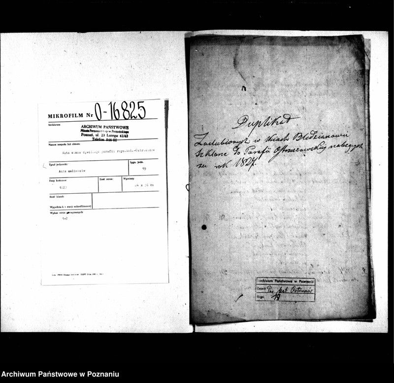 image.from.unit.number "Duplikat zaślubionych"