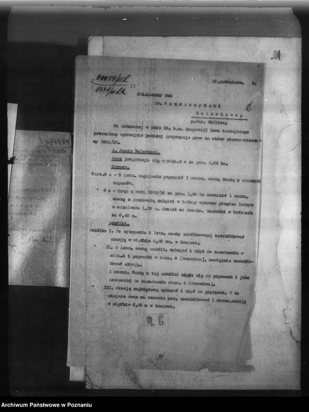 Obraz 6 z jednostki "Bolechowo powiat poznański /nadzór nad gospodarką leśną/"