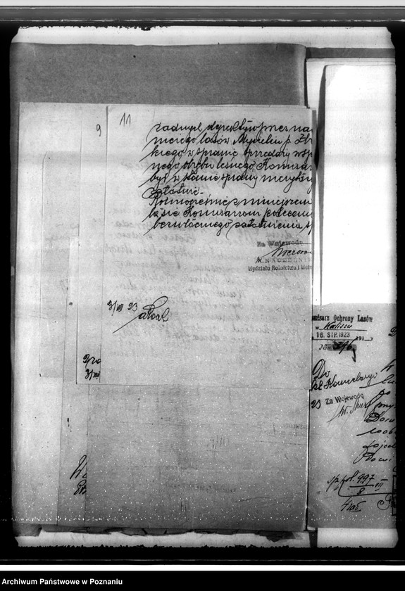 Obraz 15 z jednostki "Sprawa uzyskania zezwolenia na wyrąb jednorazowy 3 poręb w lesie majątku Mycielin powiat kaliski"