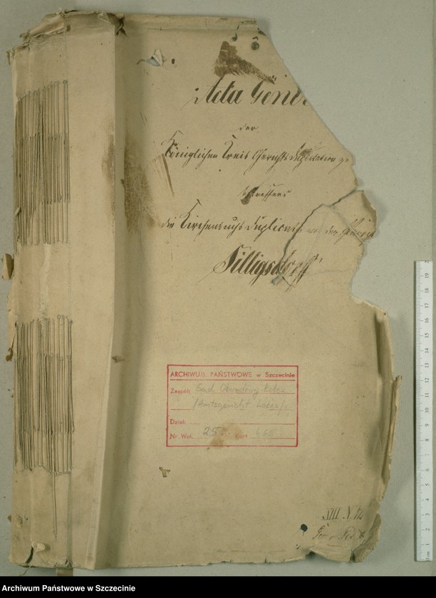 image.from.unit.number "Die Kirchenbuchsduplicate von der Parochie Silligsdorff [Sielsko]"