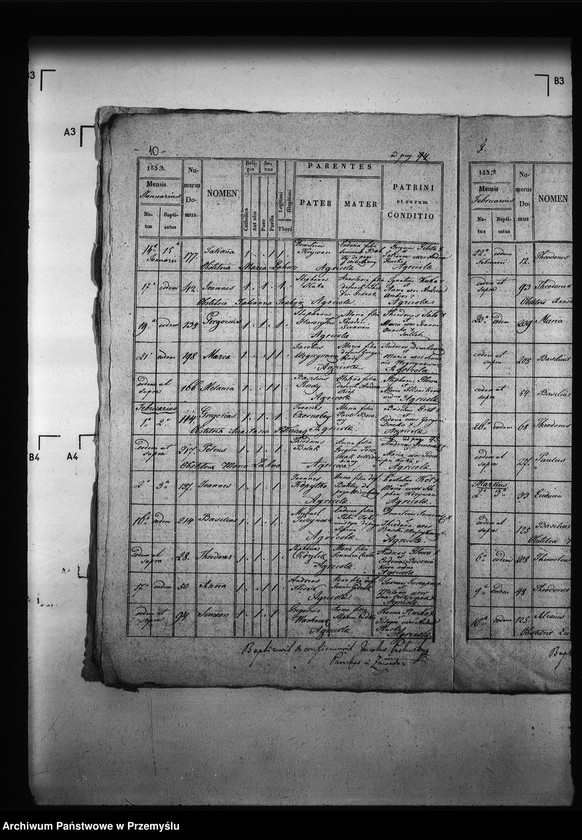 Obraz 14 z jednostki "[Kopie ksiąg metrykalnych parafii Zawadów (dekanat Niemirów)]"