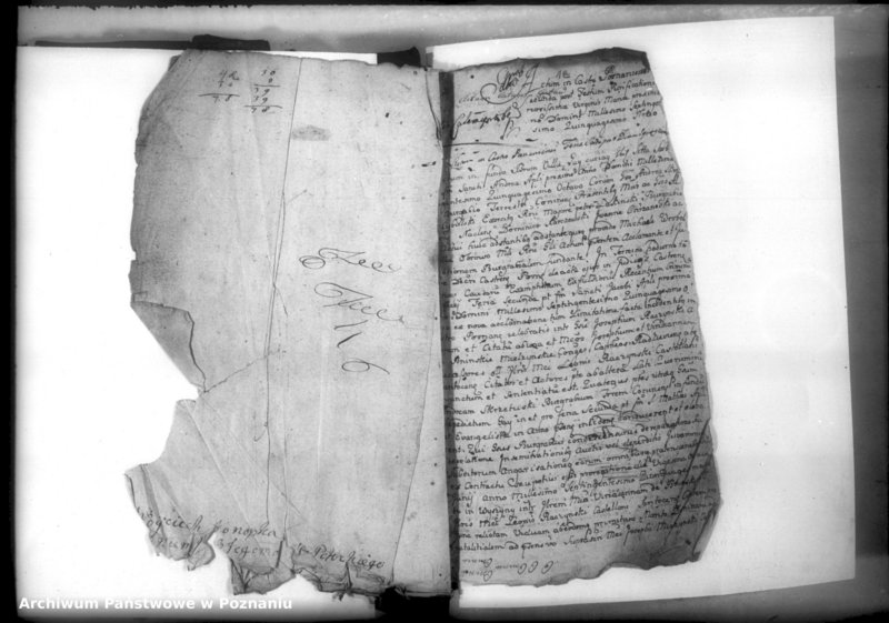 Obraz 4 z jednostki "Relationes [protocollon]"