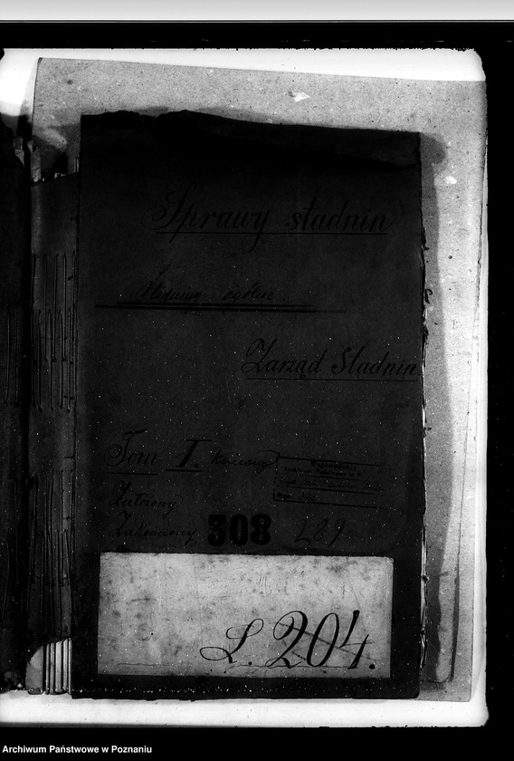 Obraz 4 z jednostki "Sprawy stadnin stadniny - ogólne zarządu stadnin"