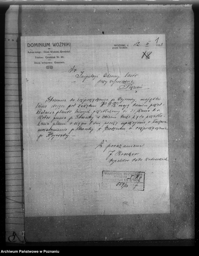 Obraz 5 z jednostki "Majętność leśna Kotowo-Wożniki powiat nowotomyski"