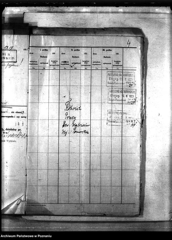 Obraz 8 z jednostki "Nosacizna - Wąbrzeźno"
