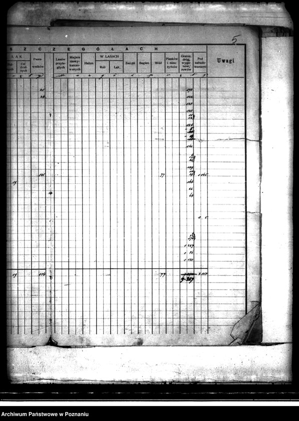 Obraz 9 z jednostki "/Rejestr pomiarowy dóbr Szczytniki powiat kaliski"