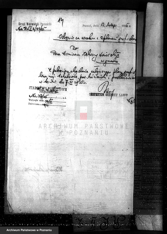 Obraz 18 z jednostki "Majętność leśna Sokołowice powiat kościański"