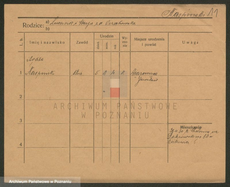 Obraz 11 z jednostki "Naskrętska - Nawrocik"