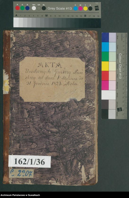 image.from.unit.number "Akta urodzonych gminy puńskiey od dnia 1 stycznia do ostatniego grudnia 1823 roku"