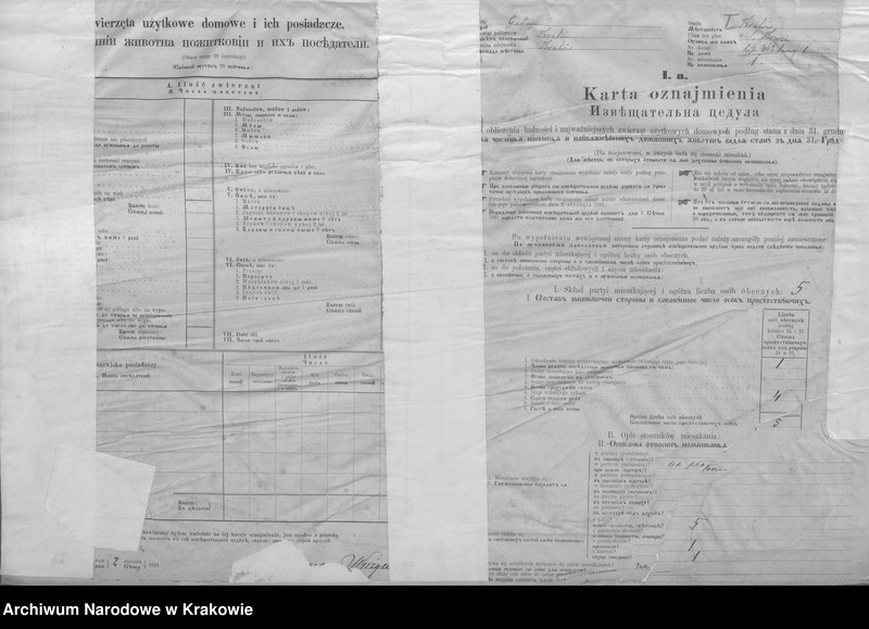 Obraz z jednostki "Spis ludności 1890, Dz. I, nr 462-520, T. 11"