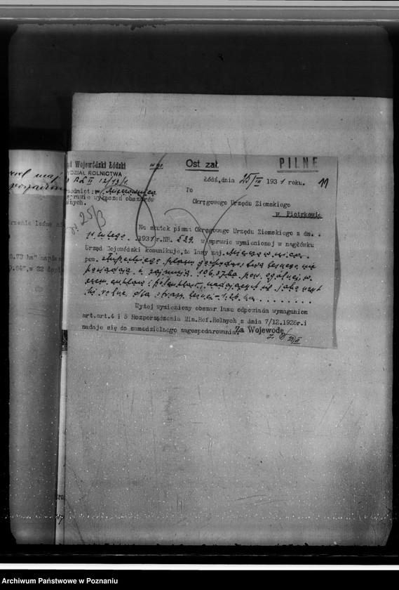 Obraz 15 z jednostki "Majątek Mieczownica powiat koniński wyłączenie obszarów leśnych w związku z wykonaniem reformy rolnej"