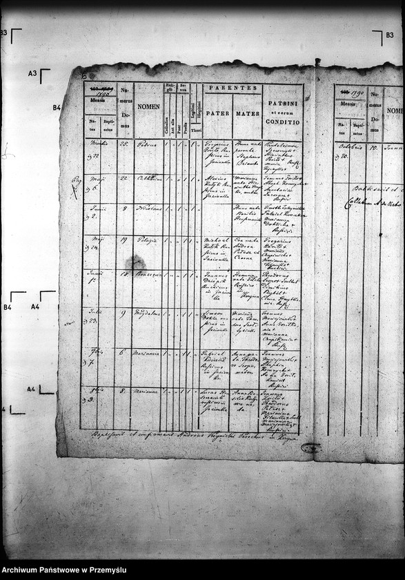 Obraz 10 z jednostki "[Kopie ksiąg metrykalnych parafii Krzywa z filiami Jasionka, Wołowiec (dekanat Gorlice)]"