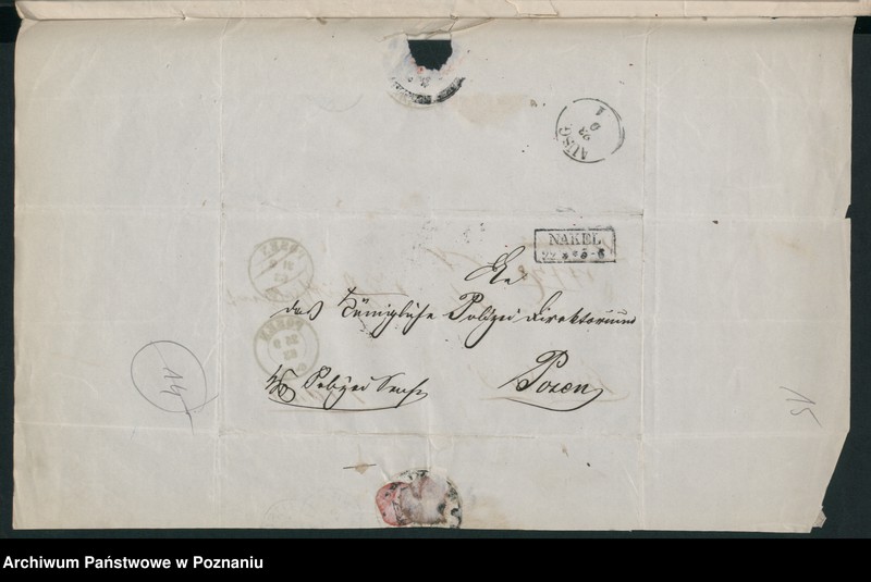 Obraz 20 z jednostki "A. betr. Valentin von Połczyński aus Ślesin auch Marzell Połczyński"