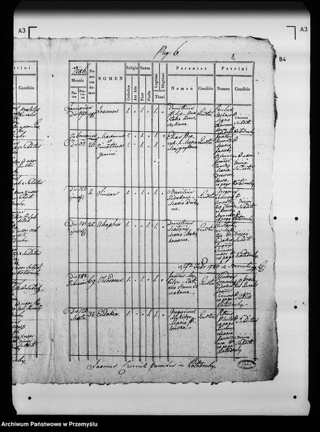 Obraz 11 z jednostki "[Kopie ksiąg metrykalnych parafii Kołodruby (dekanat Komarno)]"