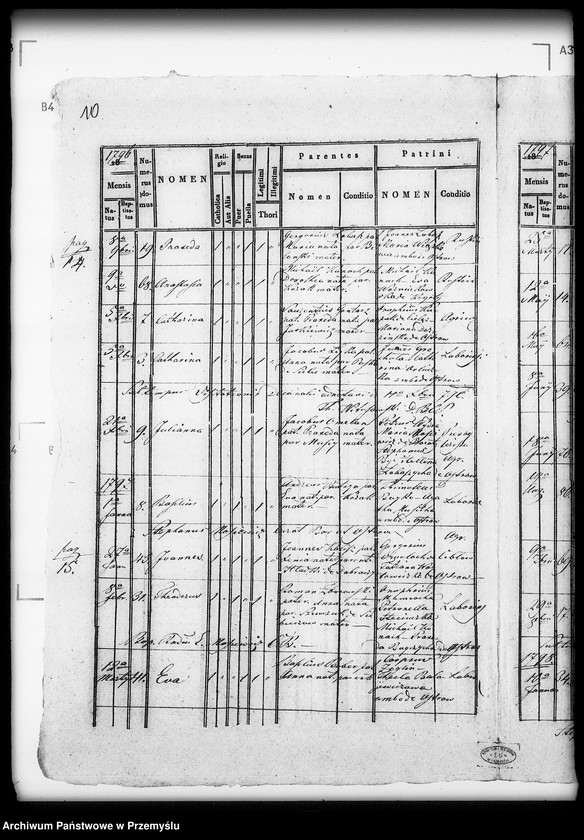 Obraz 14 z jednostki "[Kopie ksiąg metrykalnych parafii Boratyn z filią Ostrów (dekanat Bełz)]"