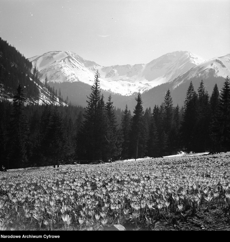 image.from.unit.number "Tatry"